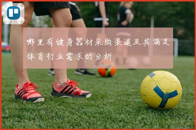 哪里有健身器材采购渠道及其满足体育行业需求的分析